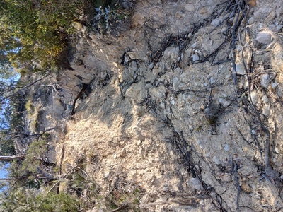 2nd landslip